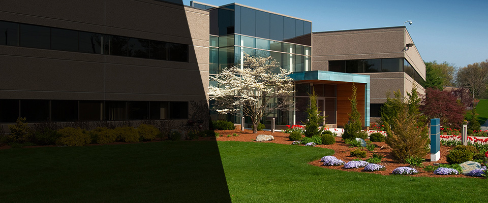 Long Island City Landscapers