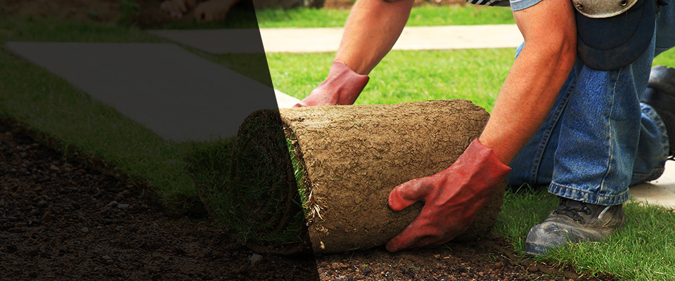 Long Island City Landscapers